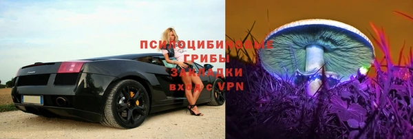 СК Верхний Тагил